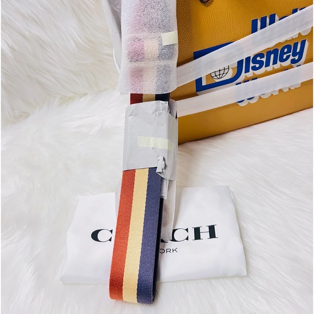 Disney x COACH Walt Disney World Tote Bag - Picture 9 of 11